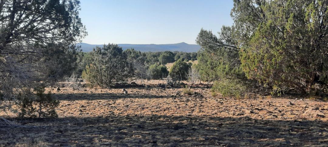 Property View 4
