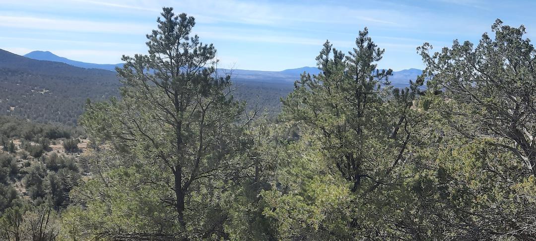 Property View Horizon