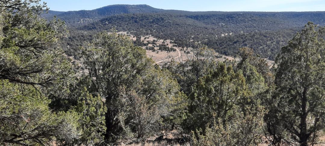Property View Topo