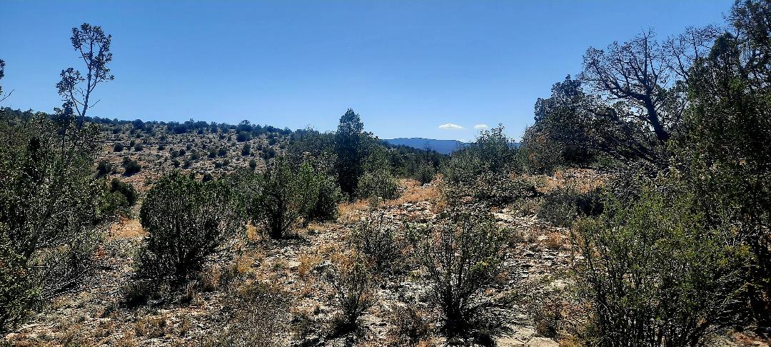 Property View Horizon