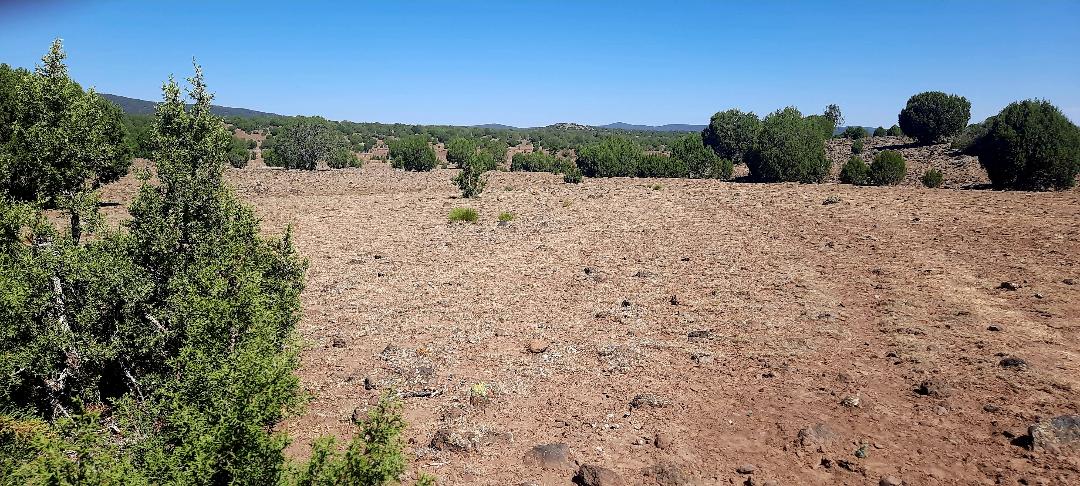 Property View Topo