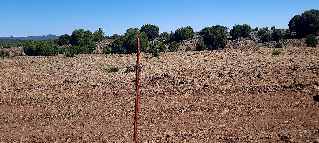 Property View Horizon
