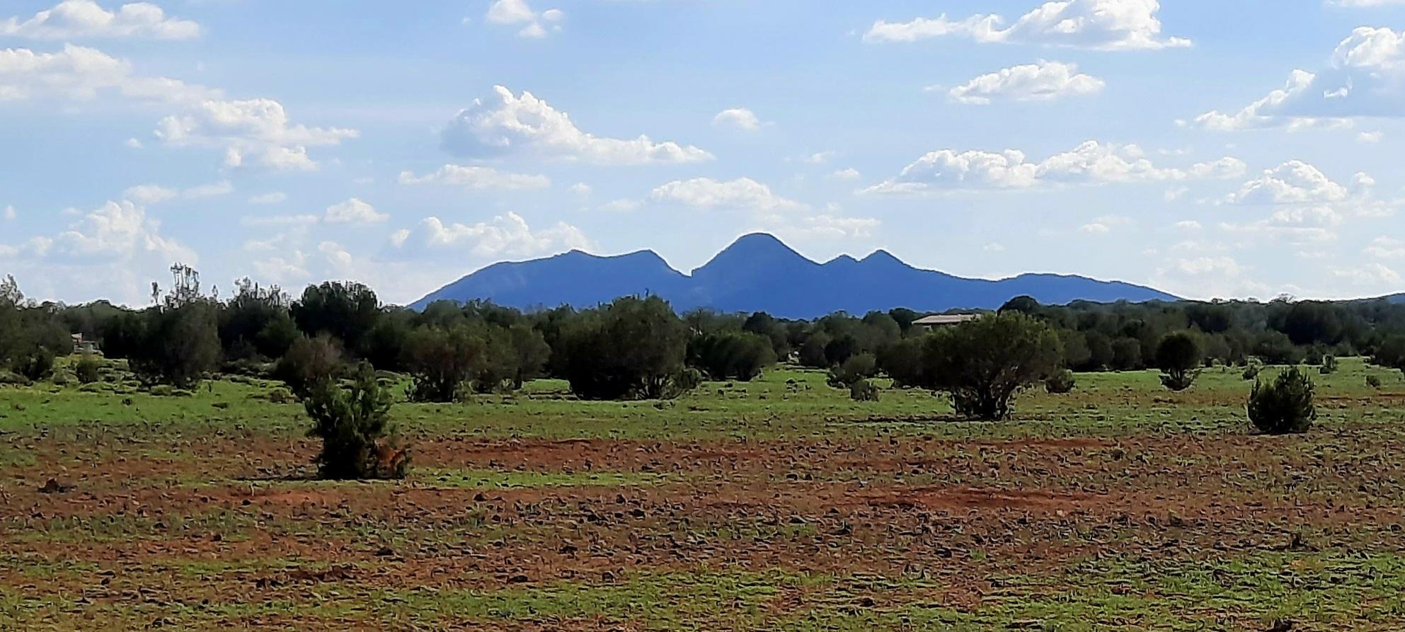 Main Property View