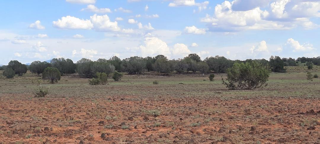 Property View Horizon